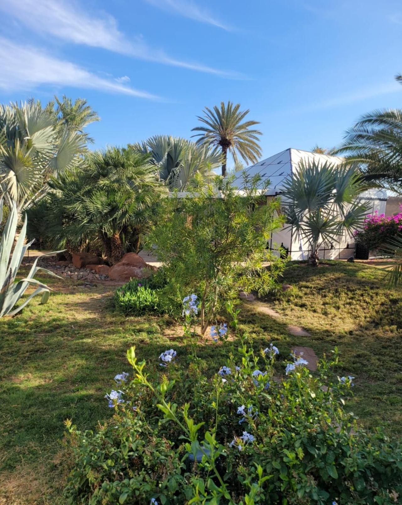 Eden & Douar Caïd Layadi