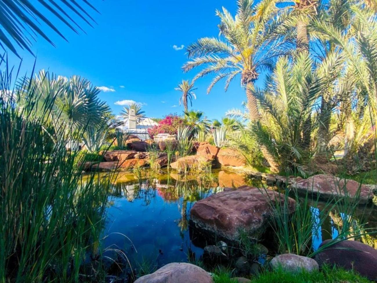 Hotel Eden & 5*