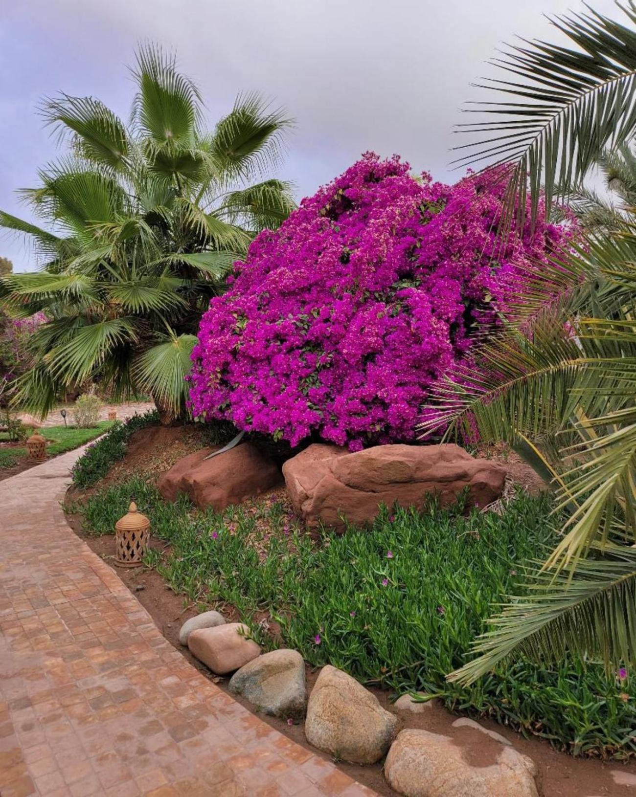 Hotel Eden & Douar Caïd Layadi